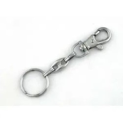 Chain with ring Chain with ring